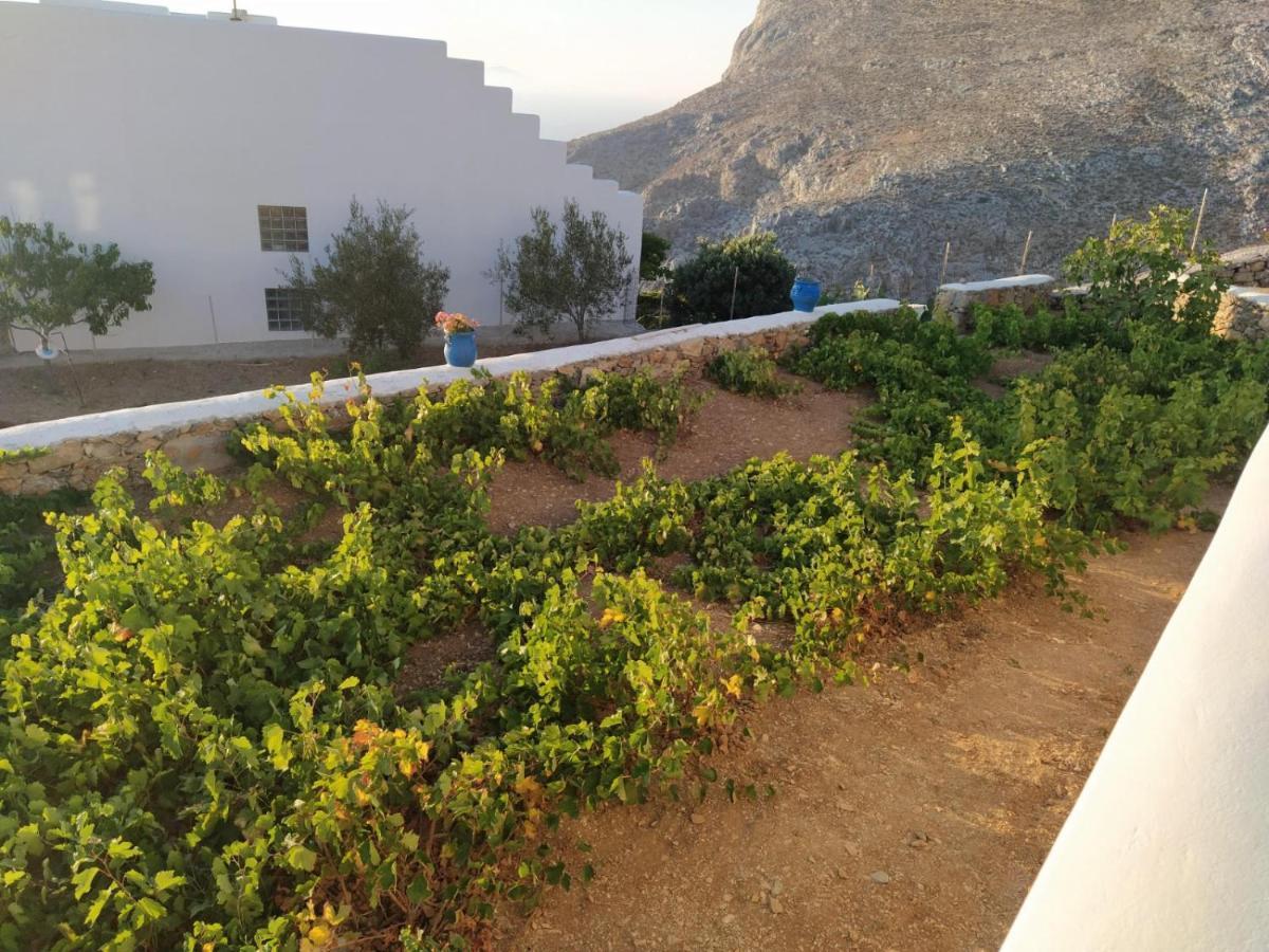 Cycladic Houses In Rural Surrounding Amorgos Exterior foto